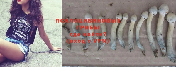 крисы Заволжск
