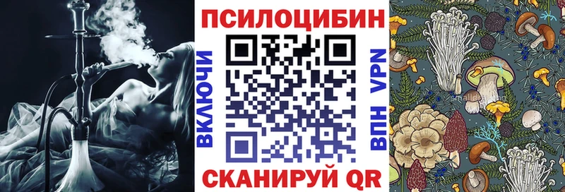 Псилоцибиновые грибы MAGIC MUSHROOMS  Купить закладки  Копейск 